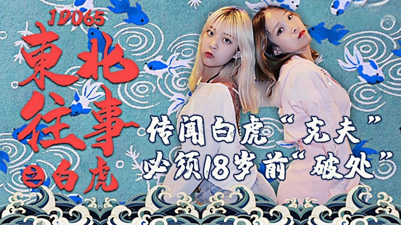 东北往事之白虎 JD065