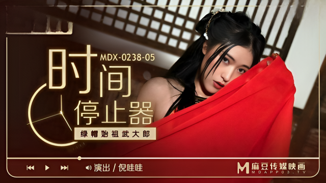 MDX0238-5時間停止器}