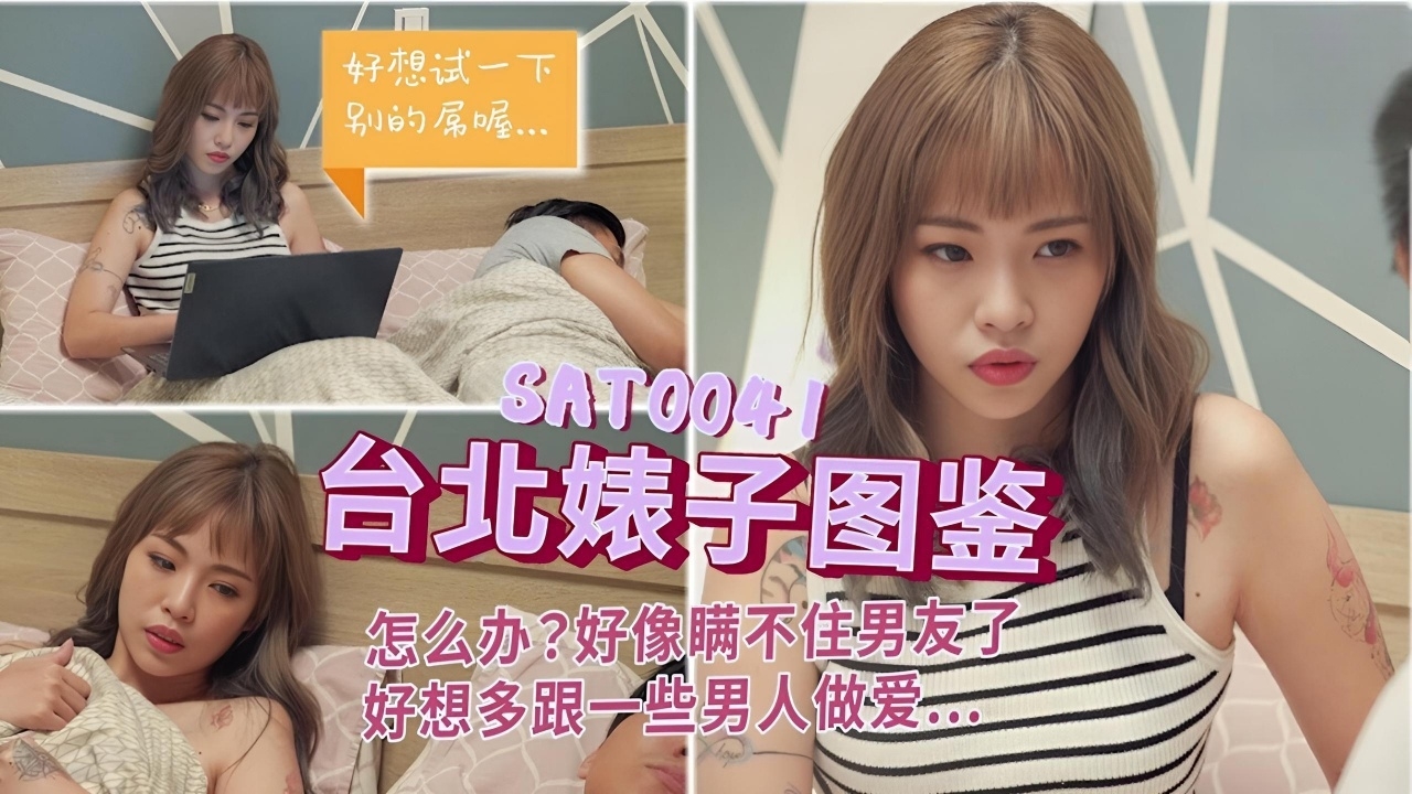 台北婊子图鉴1 SAT0041