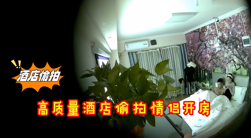 高质量酒店偷拍情侣开房