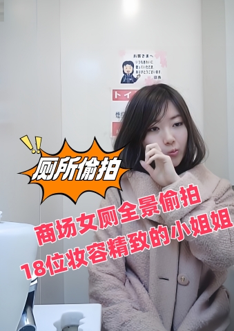 商场女厕全景偷拍18位妆容精致的小姐姐 2