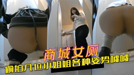 商城女厕全景偷拍几位小姐姐各种姿势嘘嘘