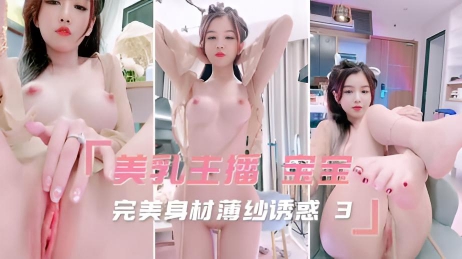 完美身材薄纱诱惑 3 美乳主播 宝宝