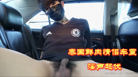 泰国鲜肉情侣车震,淫声起伏